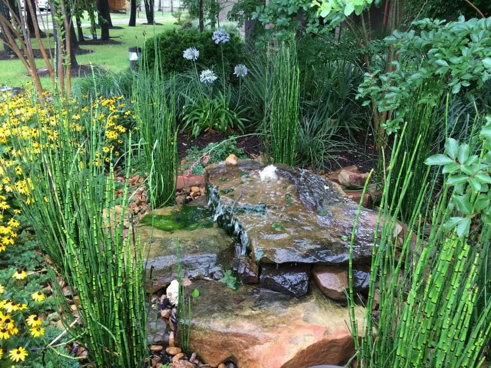 Year-Round in Landscaping Woodlands TX