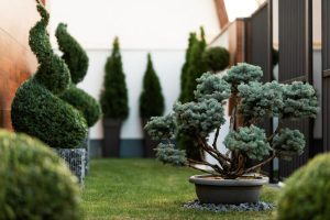 Year-round landscaping solutions