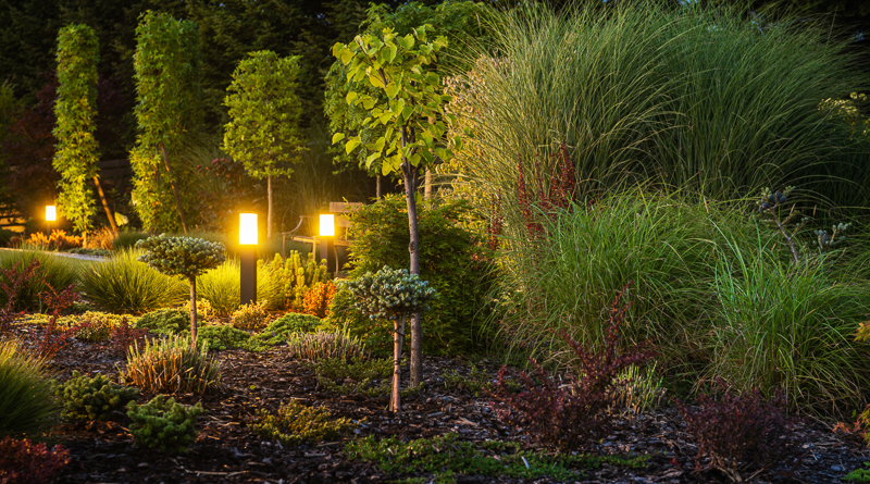 Outdoor lighting LED Spring Texas