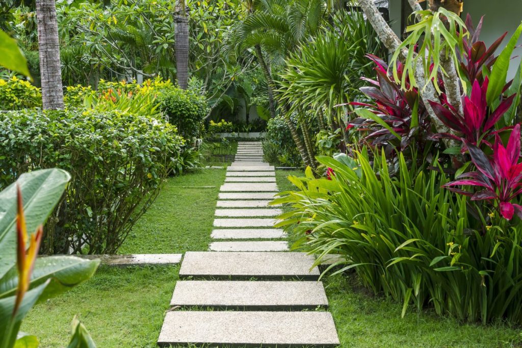 Tropical garden landscaping service